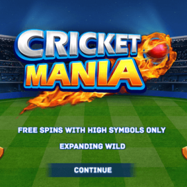 Cricket Mania screenshot