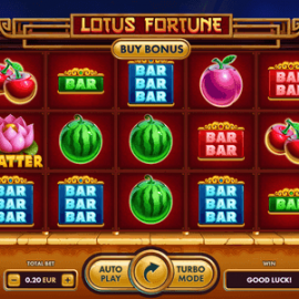 Lotus Fortune screenshot