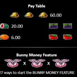 Hot Cross Bunnies screenshot