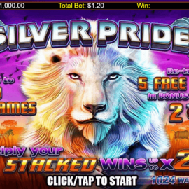 Silver Pride screenshot
