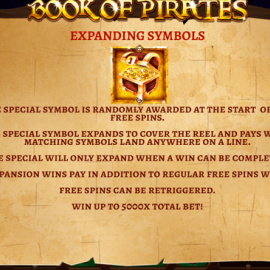 Book of Pirates screenshot