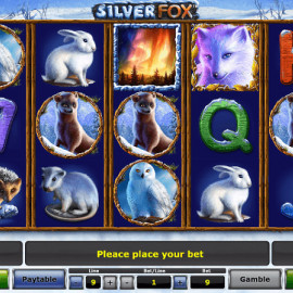Silver Fox screenshot