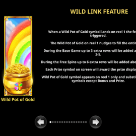 Wild Link Riches screenshot
