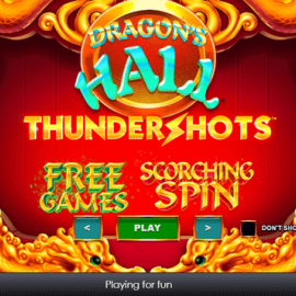 Dragon's Hall Thundershots screenshot