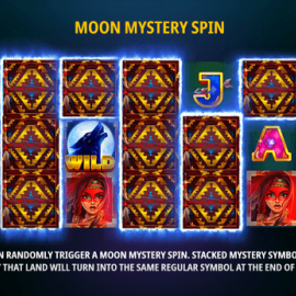 Moon Spirit Hold and Win screenshot