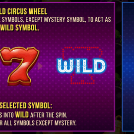 Wild Circus 256 screenshot