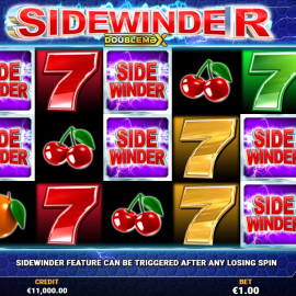 Sidewinder DoubleMax screenshot