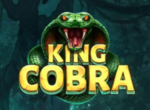 King Cobra