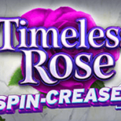 Timeless Rose