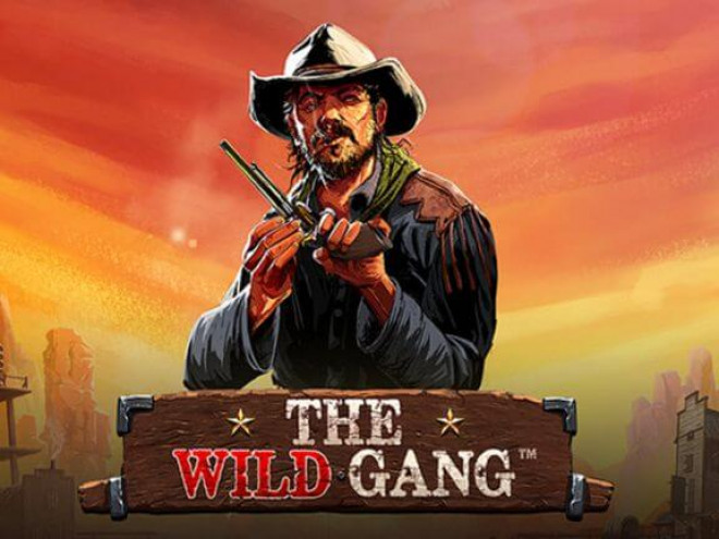 The Wild Gang