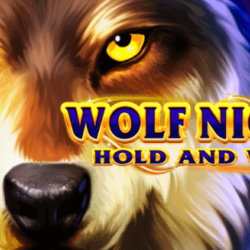 Wolf Night