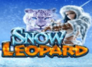 Snow Leopard