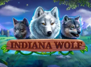 Indiana Wolf