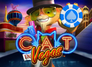 Cat In Vegas