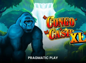 Congo Cash XL