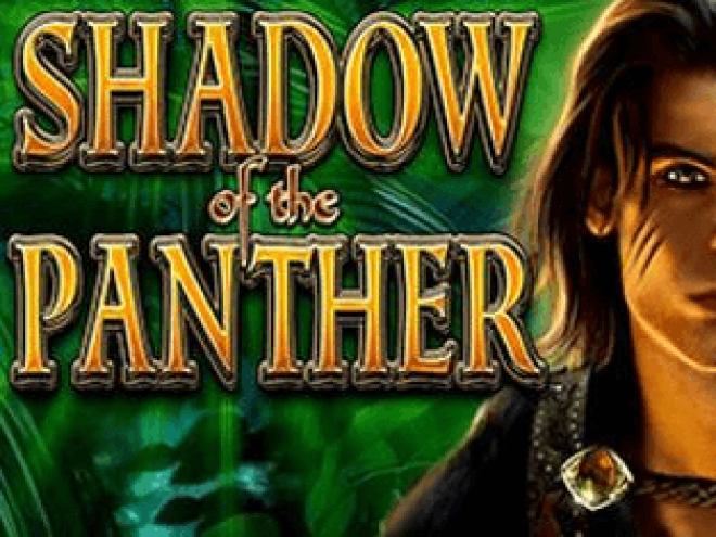 Shadow of the Panther