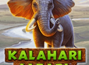 Kalahari Safari