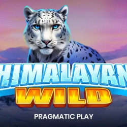 Himalayan Wild (Pragmatic Play) Slot Review + Free Demo 🎰