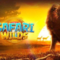 demo safari wild pg