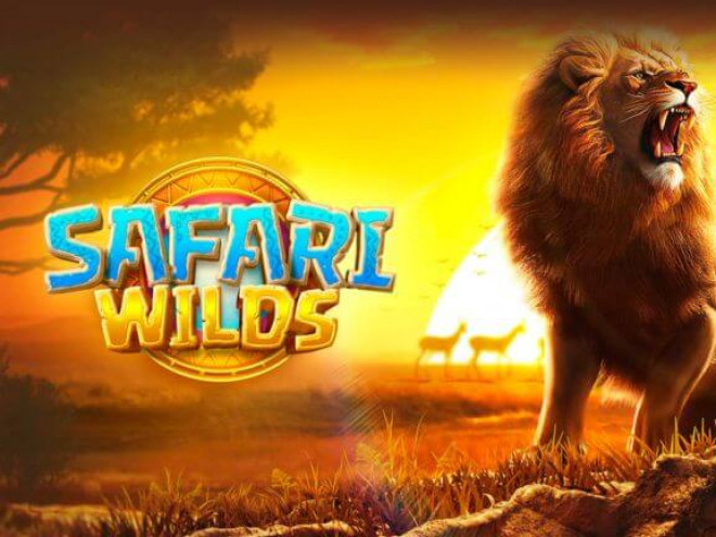 Safari Wilds