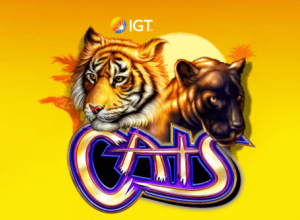 Cats