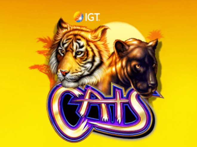 Cats