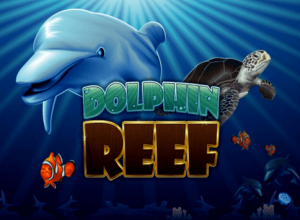Dolphin Reef