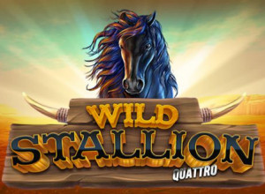 Wild Stallion