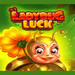 Ladybug Luck