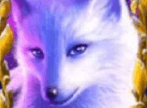 Silver Fox