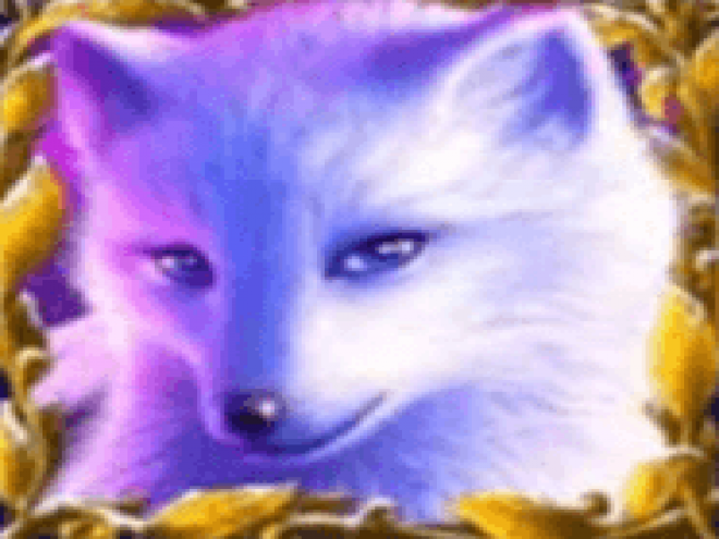 Silver Fox