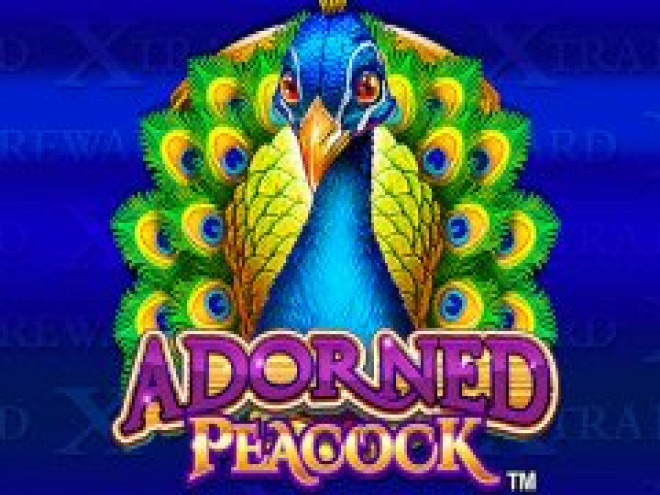 Adorned Peacock