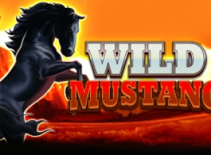 Wild Mustang