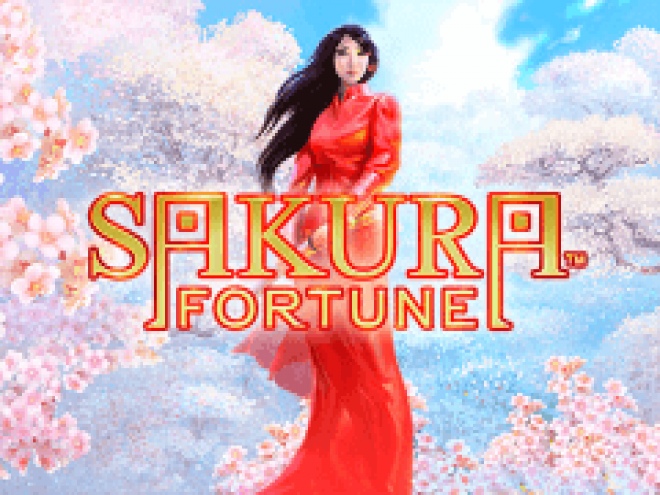 Sakura Fortune