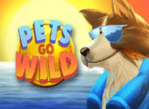 Pets Go Wild