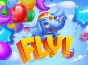 Fly