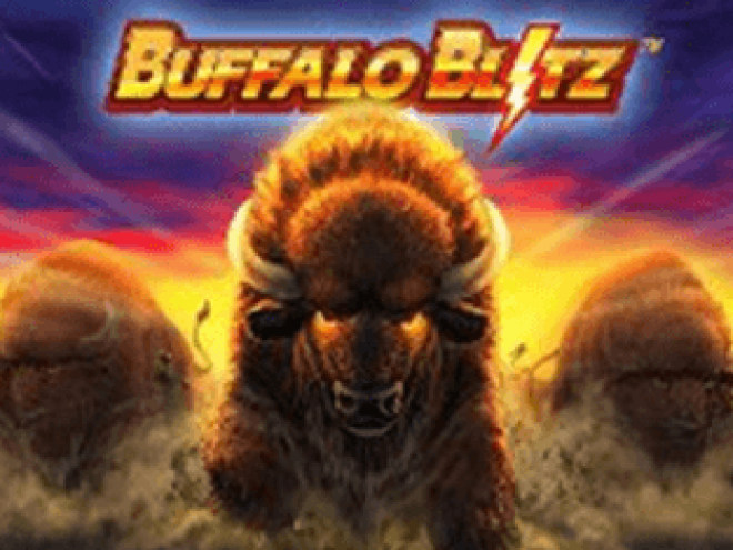 Buffalo Blitz