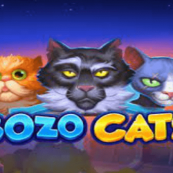 Bozo Cats