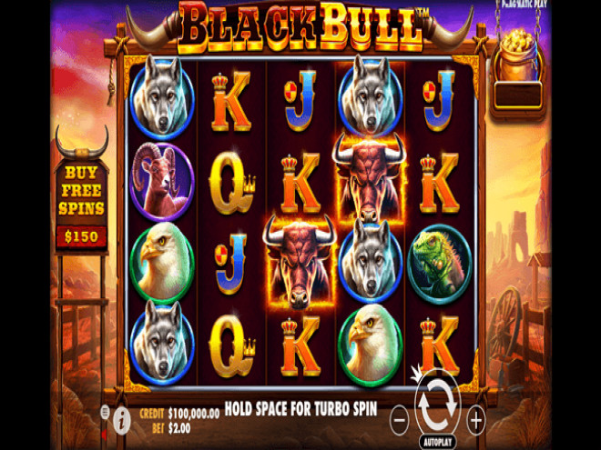 Black Bull
