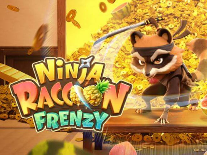 Ninja Raccoon Frenzy