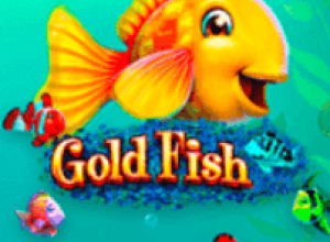 Goldfish