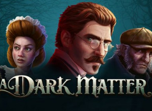 A Dark Matter