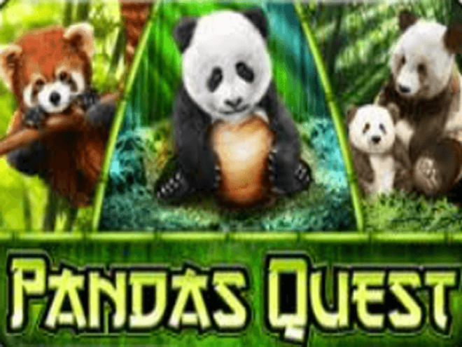 Panda’s Quest