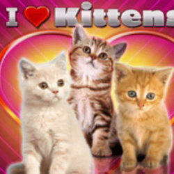 LoveCasino2 German App: Free-Spin-Spiele bei Love Casino unter der Lupe