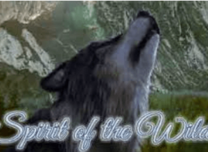 Spirit of the Wild