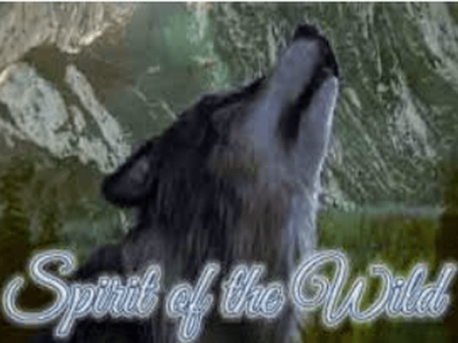 Spirit of the Wild
