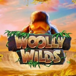 Woolly Wilds