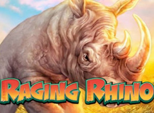 Raging Rhino