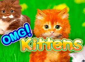 OMG Kittens