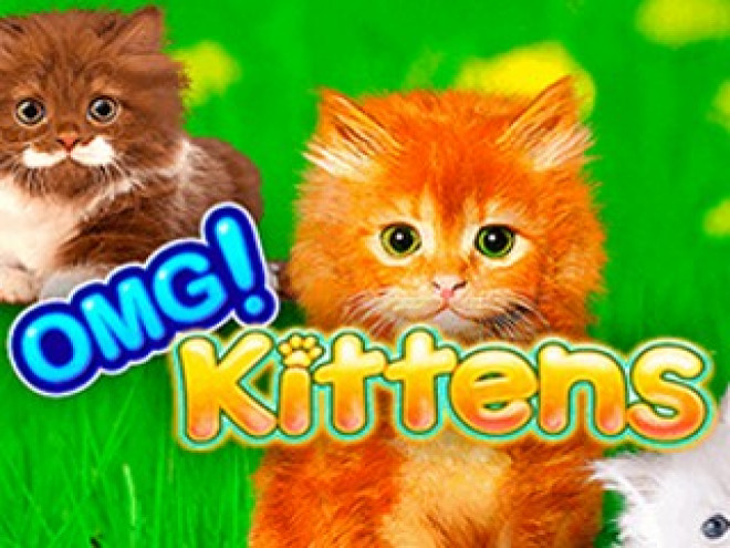 OMG Kittens
